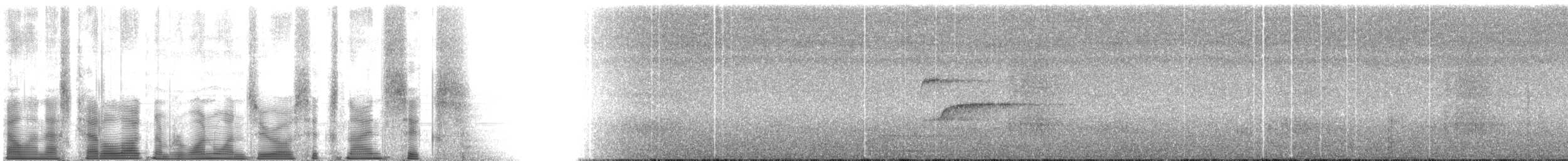 Lawrence's Thrush - ML110696