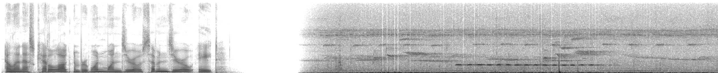 Lawrence's Thrush - ML110708