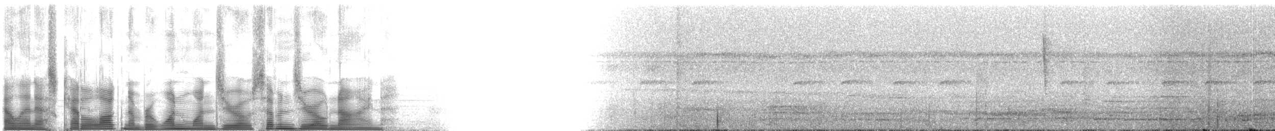 Белобрюхий лорито (xanthomerius) - ML110709