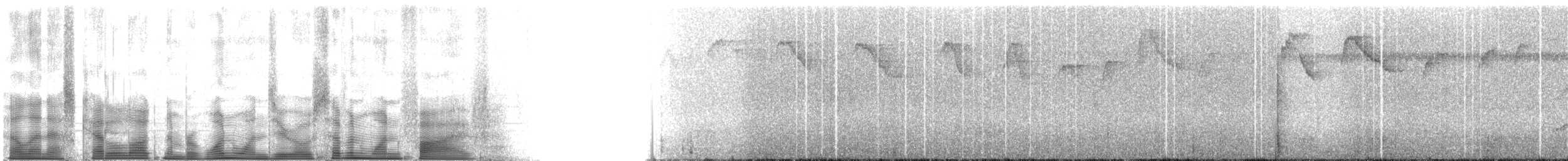Коричневый колибри-отшельник - ML110715