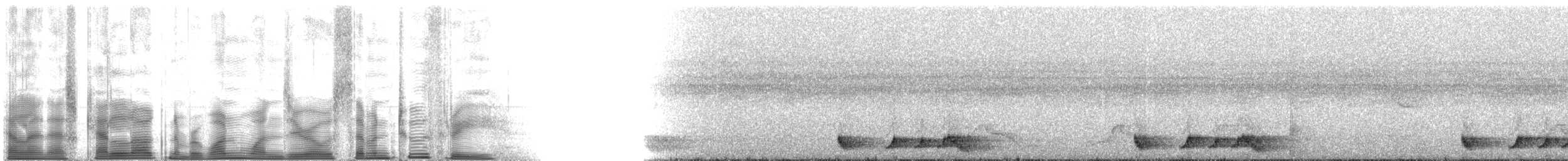 Rostnachtschwalbe [rufus-Gruppe] - ML110723