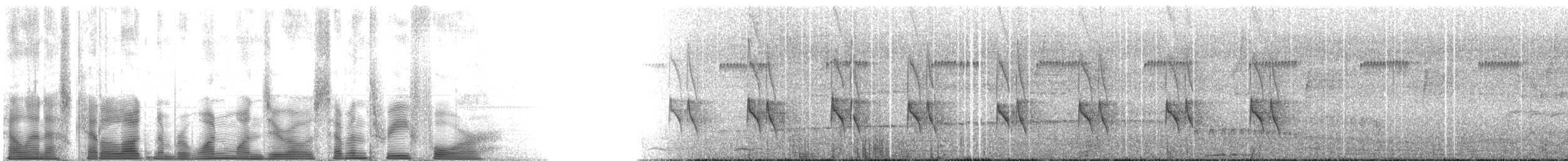 Braunscheitel-Tachurityrann - ML110734