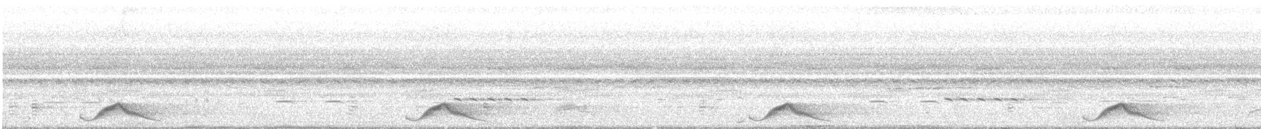 Pauraquenachtschwalbe - ML110745881