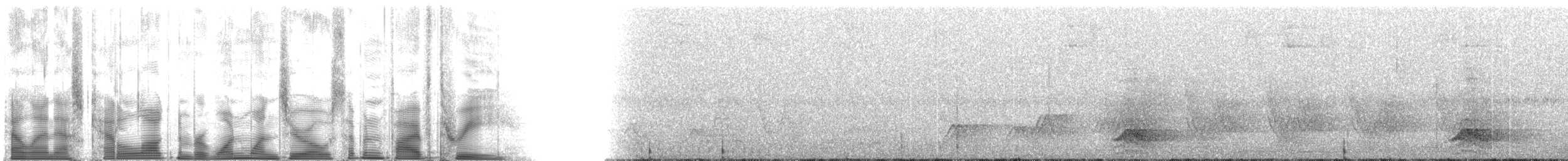 Hooded Tinamou - ML110753