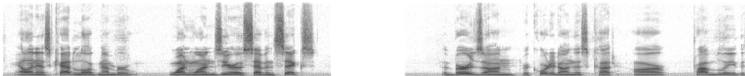 Xénodacnis mésange (petersi/bella) - ML11076
