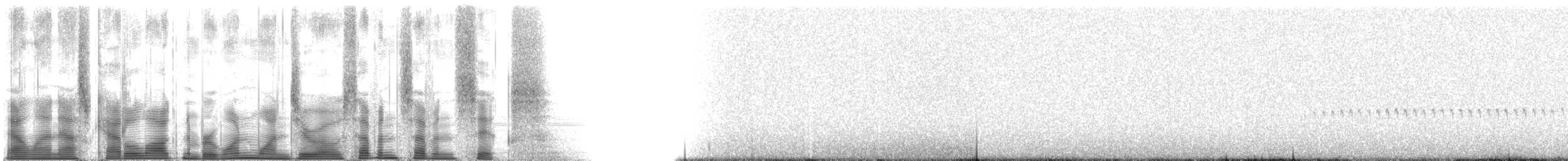 Sarımsı Madenci (jelskii/saturata) - ML110776