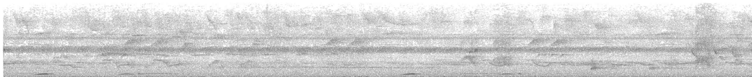 Trinidad Motmot - ML110848251