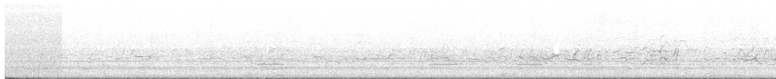 Kara Karınlı Islıkçı Ördek - ML110857081