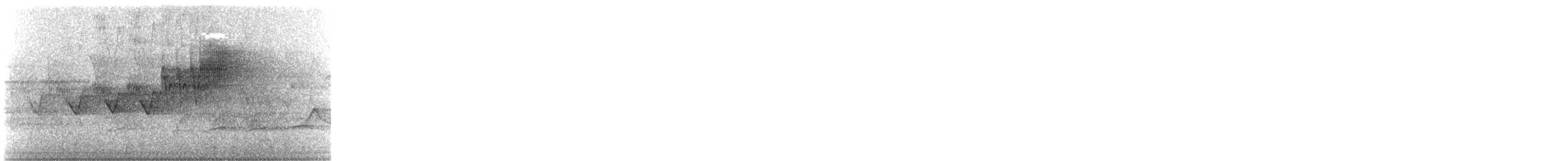 Cerulean Warbler - ML110934311