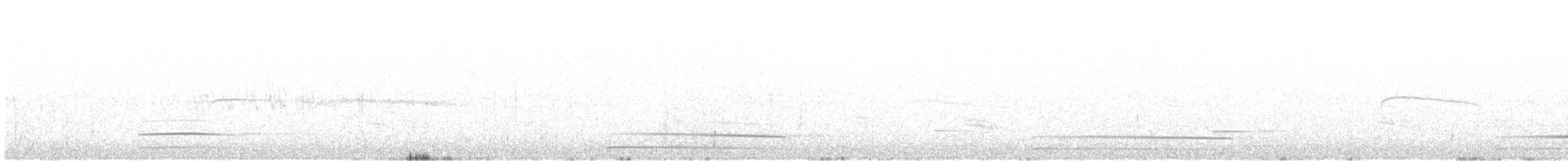 Great Grebe - ML110991841