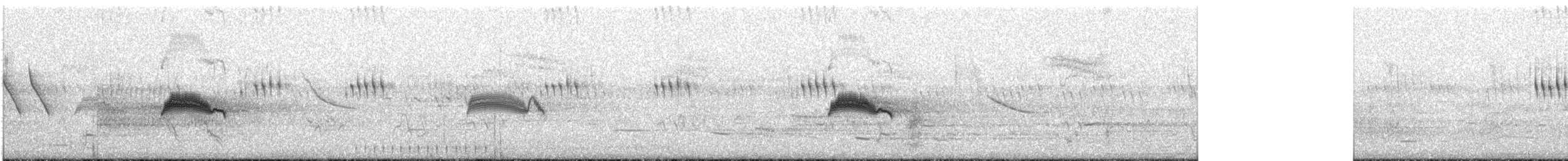 Western Wood-Pewee - ML111019301