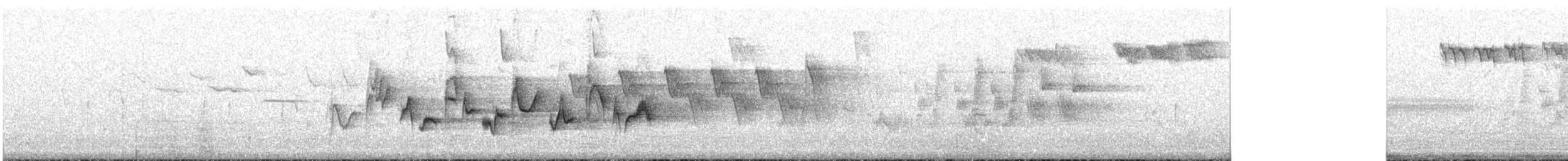 Western Warbling Vireo - ML111019591