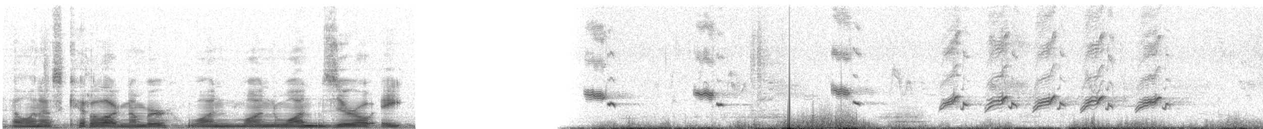 Northern Mockingbird - ML11108