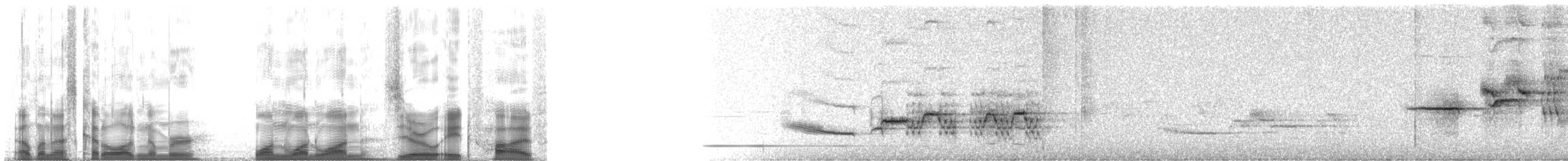 チャイロコツグミ - ML111085