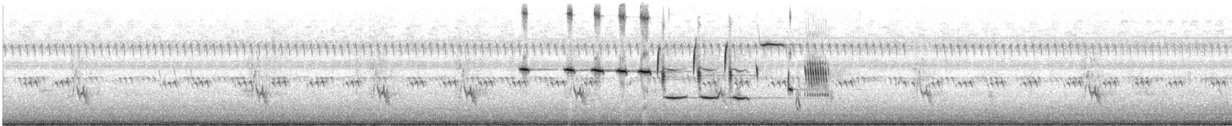 Song Sparrow - ML111131391