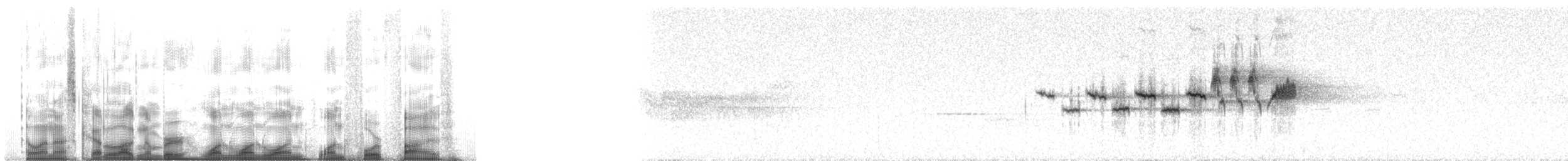 Hermit Warbler - ML111145