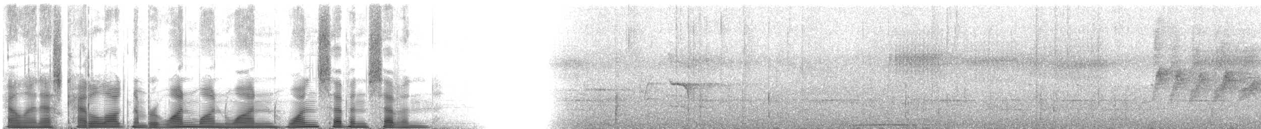 Bergdickkopf - ML111177