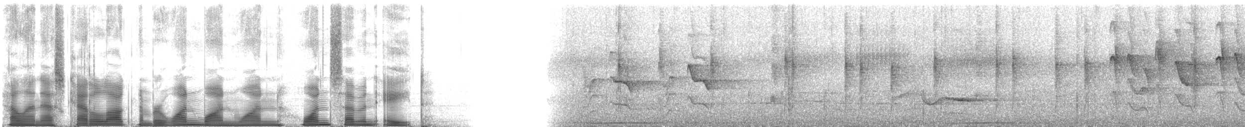 Carillonneur à nuque rousse - ML111178