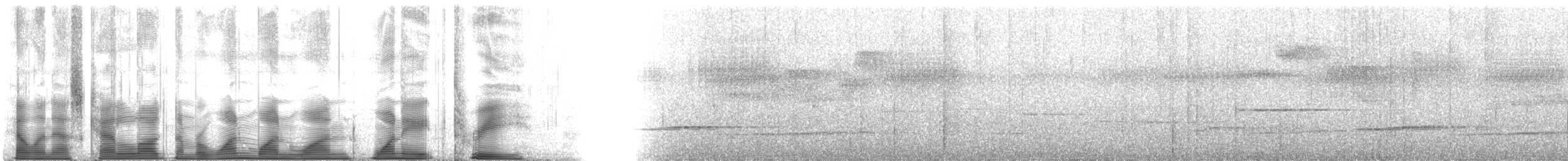 Dschungelflöter - ML111183