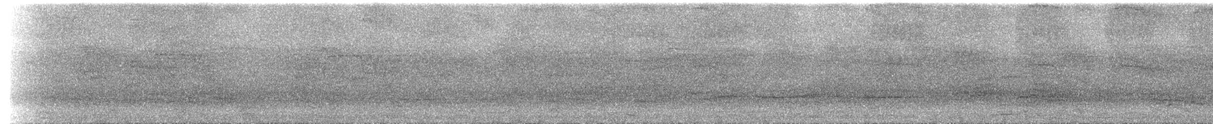 Brillenflughund - ML111184