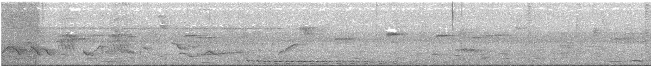 Black-billed Seed-Finch - ML111187651