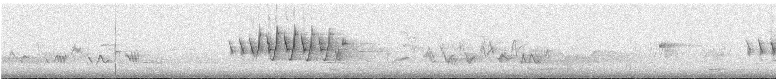 MacGillivray's Warbler - ML111191061