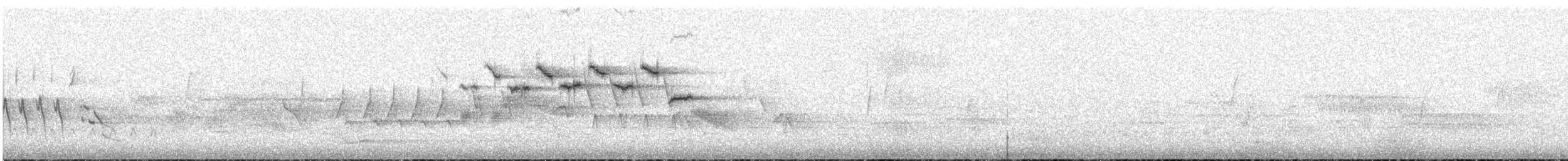 Hermit Warbler - ML111191211