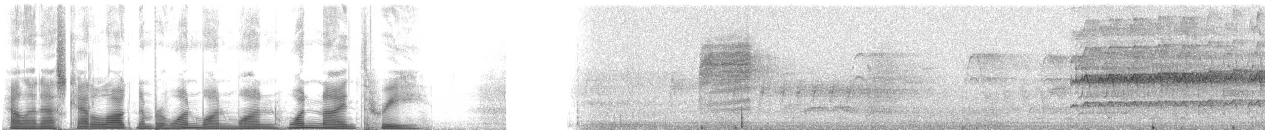 American Kestrel (Northern) - ML111193
