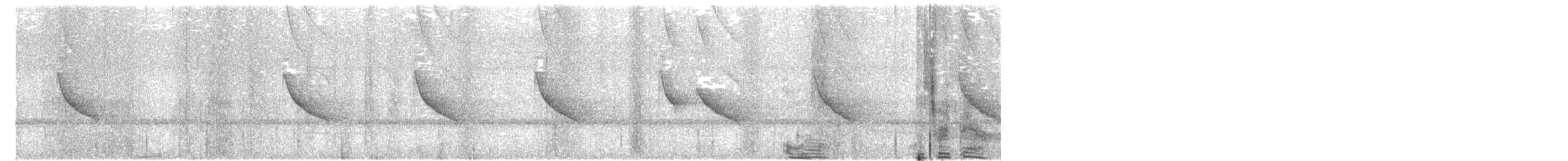 Белогорлая сорокопутовая танагра - ML111226481
