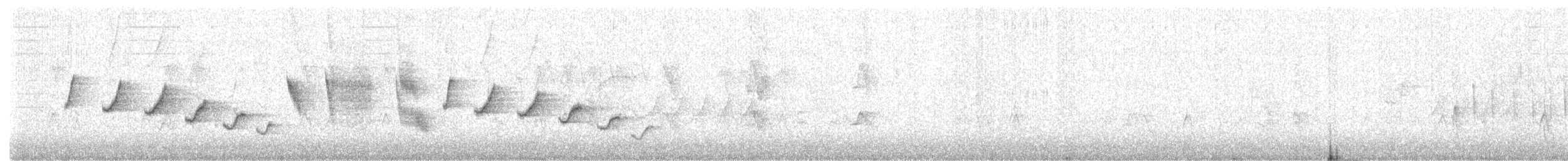 Каньонный крапивник - ML111256601