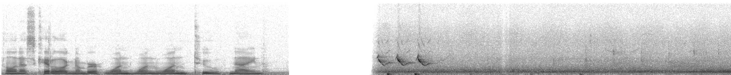 Gartenspottdrossel - ML11129