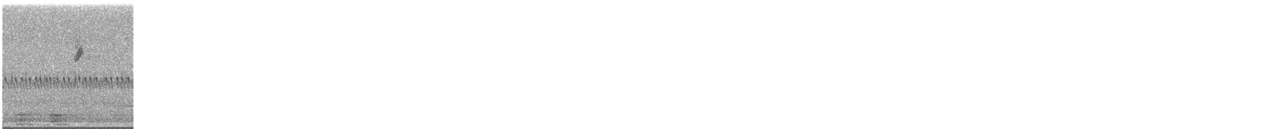 Kentucky Warbler - ML111290471