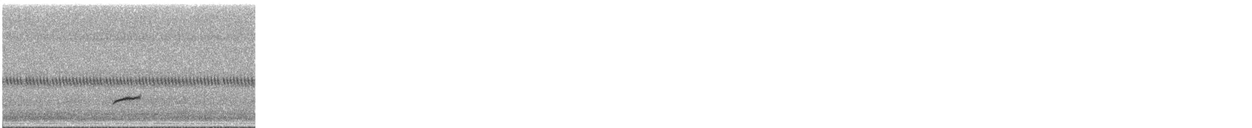 Swainson's Thrush - ML111291271