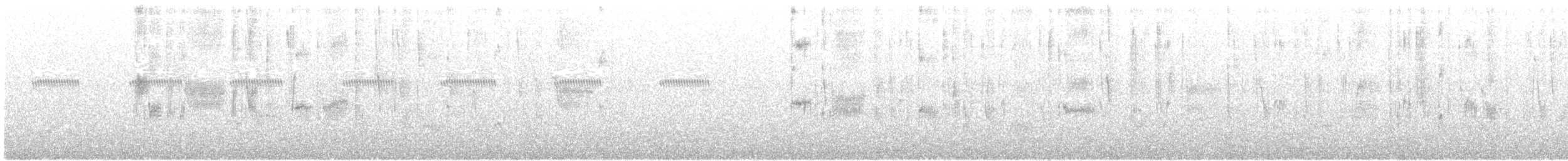 Işık Kuyruklu Ormanyıldızı - ML111314521