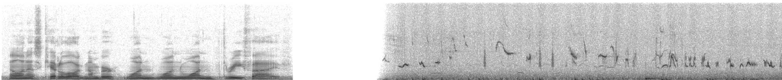 Yavşan Çöpçüsü - ML11135