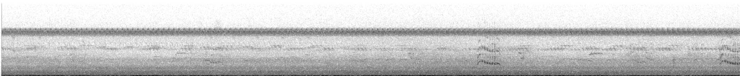 Royal Tern - ML111365101