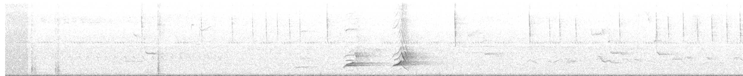 nordkrattvaktel (virginianus gr.) - ML111369181