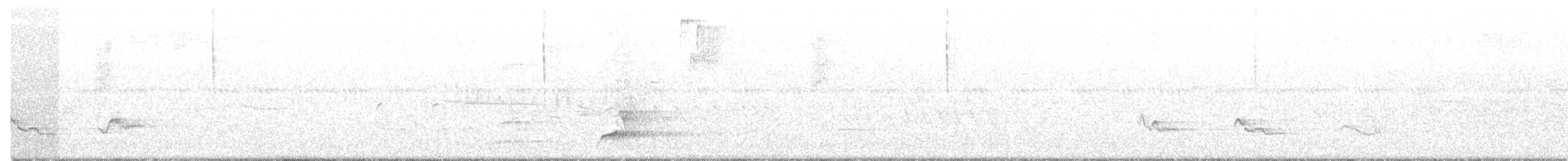 nordkrattvaktel (virginianus gr.) - ML111369191