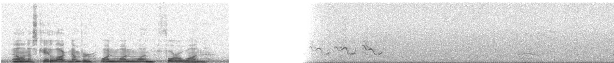 Bendire's Thrasher - ML11141