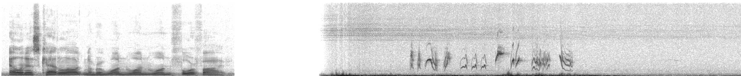 Curve-billed Thrasher - ML11145