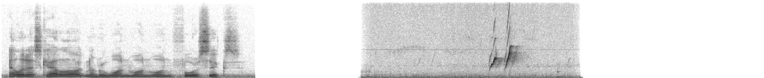 Curve-billed Thrasher - ML11146