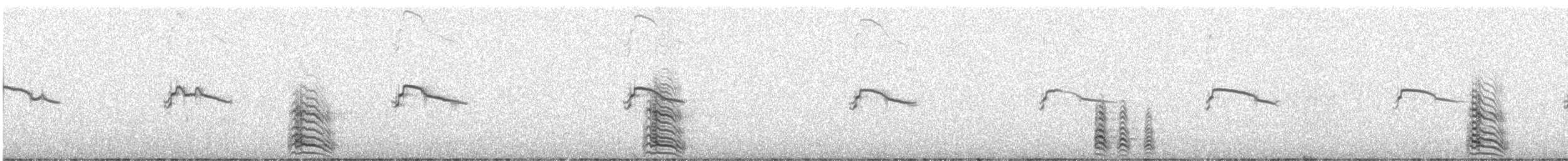 Lesser Black-backed Gull - ML111462331