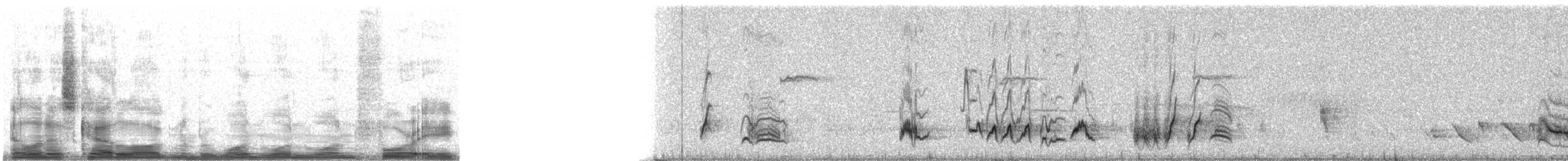 Curve-billed Thrasher - ML11148