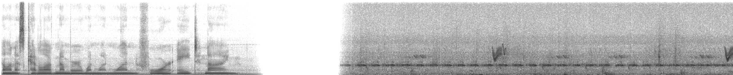 Chotacabras de Sabana - ML111489