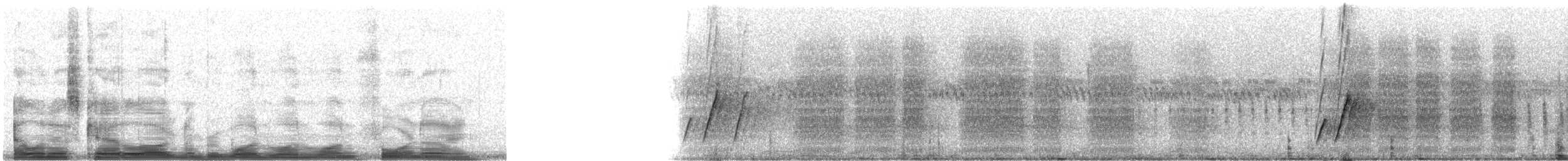 Curve-billed Thrasher - ML11149