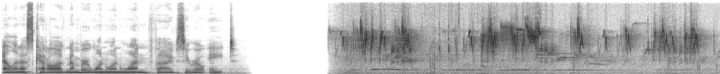 Graukopfprinie - ML111508