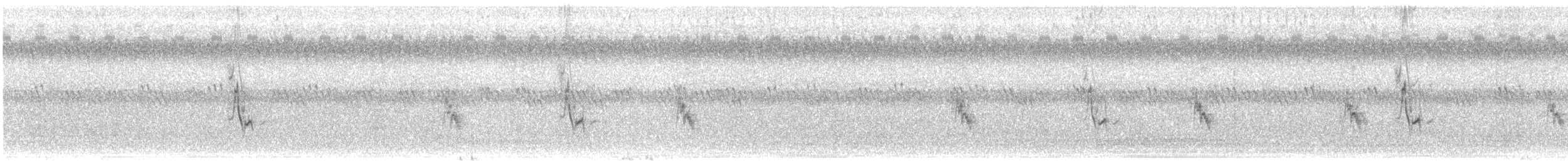 Haus- x Feldsperling (Hybrid) - ML111511531
