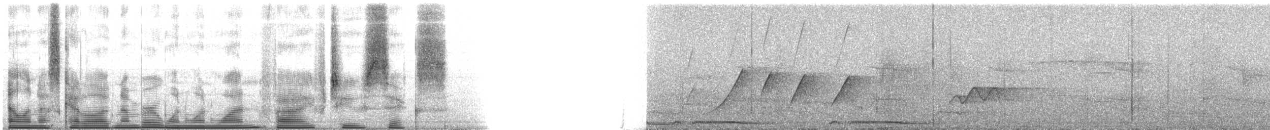 praktmønjefugl (speciosus gr.) - ML111526