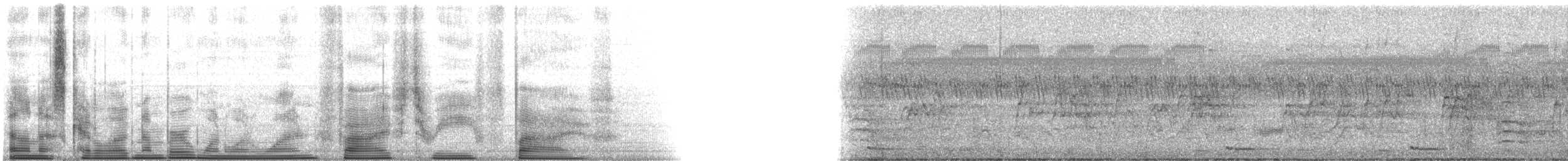 Зозуля білогорла - ML111535