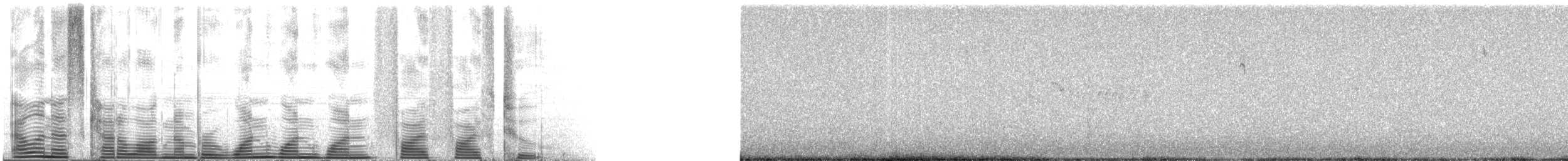 Ornate Tinamou - ML111552